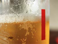 beer glass image